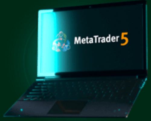 Meta Trader5 Markets Vox